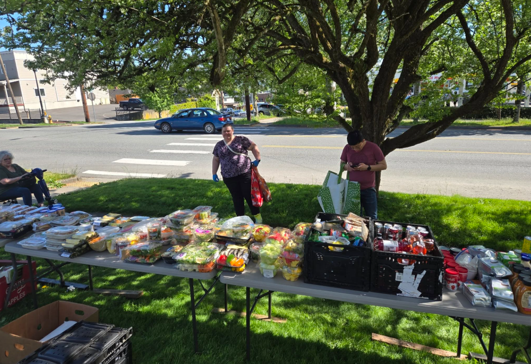 Salt of the Earth food distribution
