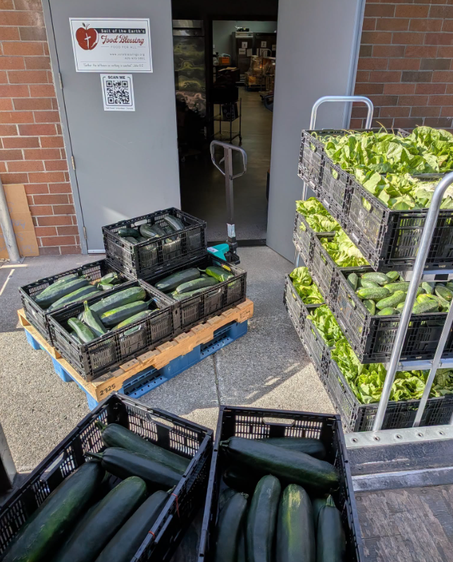 Fresh produce stacked outside the current Salt of the Earth facility