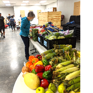 Fresh produce display table at a Salt of the Earth Food Blessing distribution with corn, peppers, and vegetables ready for families