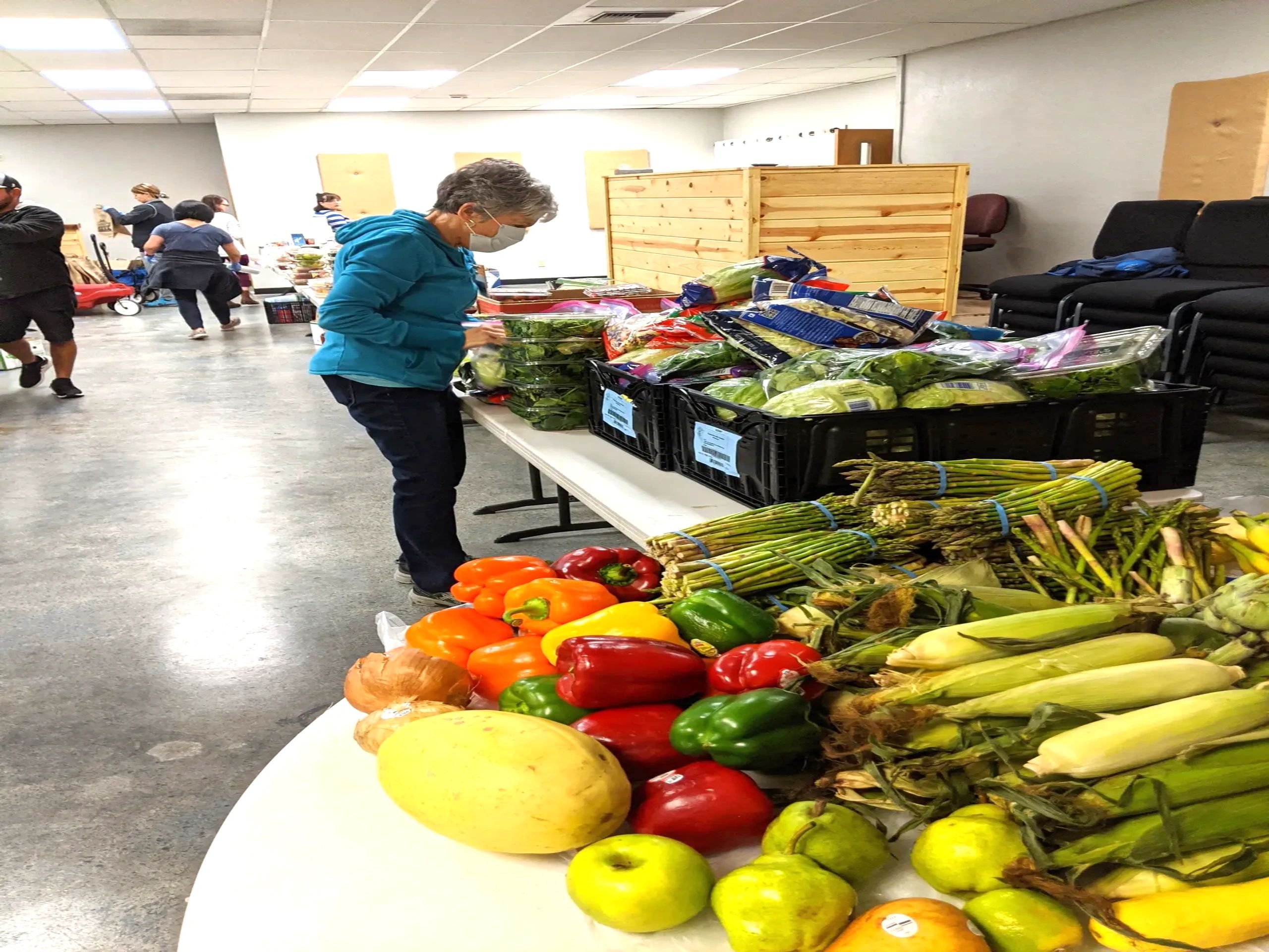 A Salt of the Earth volunteer sorting donated fruits and vegetables at a distribution table in Snohomish County