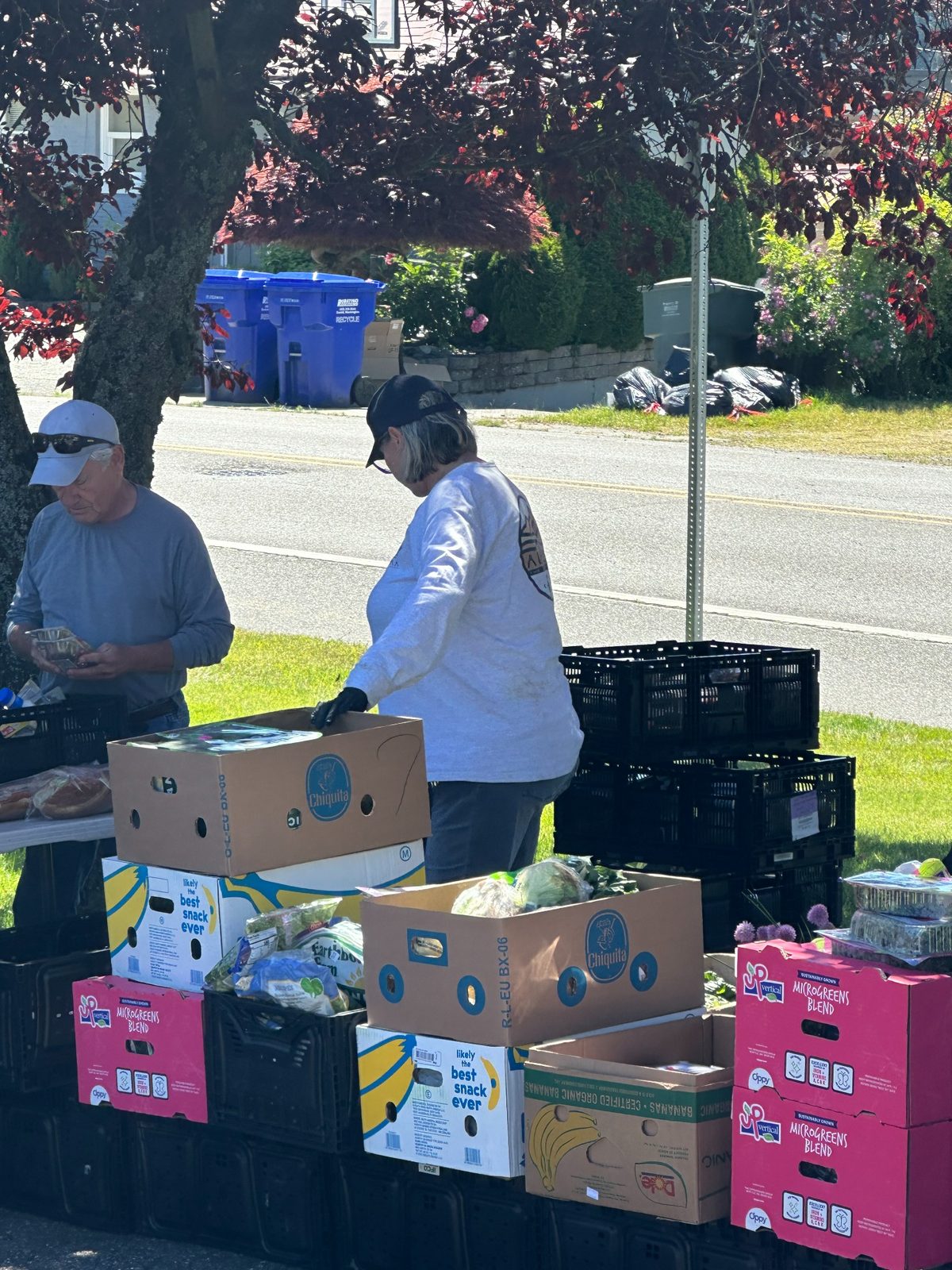 Everett volunteers organizing fresh produce for distribution