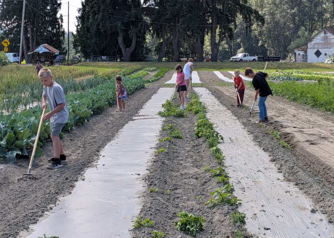 Children and adults working together in a garden